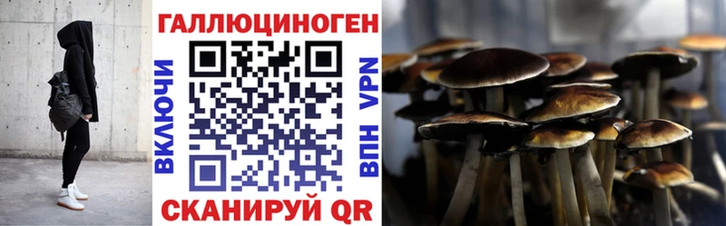 Галлюциногенные грибы Magic Shrooms  Купить  Щигры 